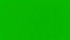 119 Verde Manzana